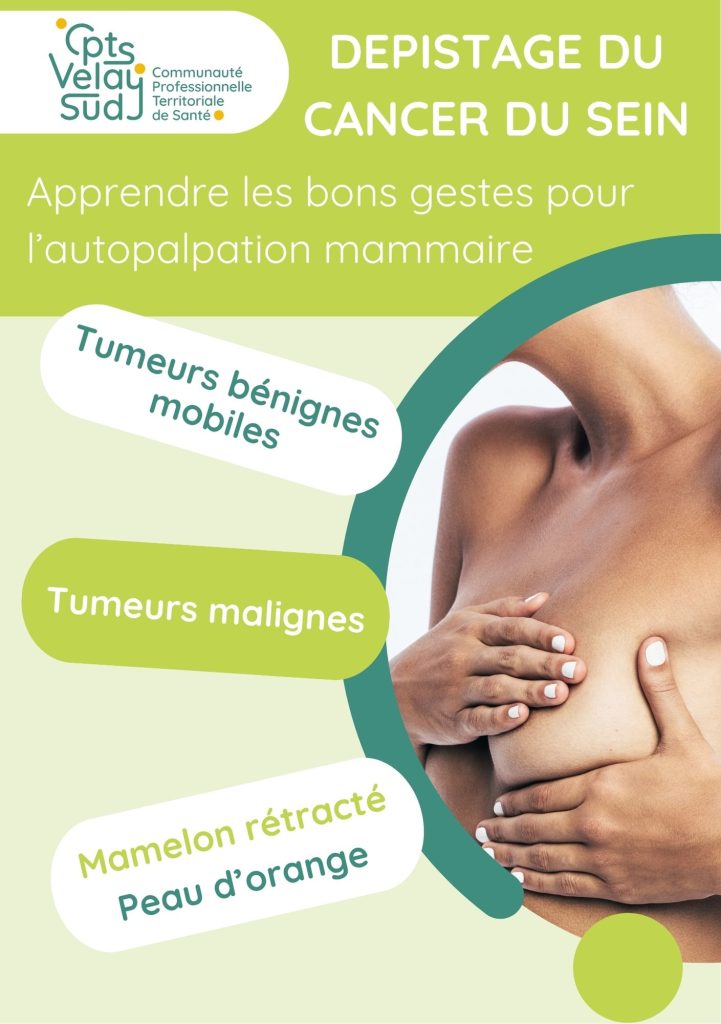 Mise à disposition d'un buste de palpation mammaire.